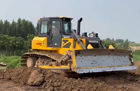 w88优德 - 更专业的w88玩家问答网站