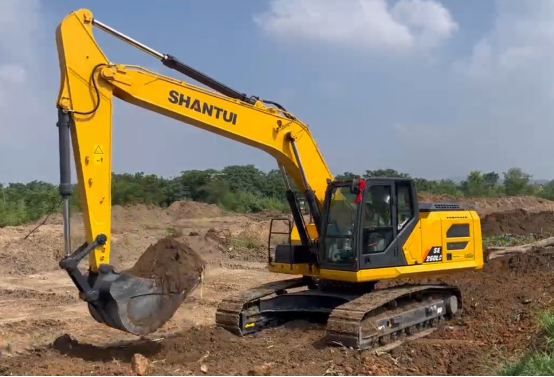 w88优德 - 更专业的w88玩家问答网站